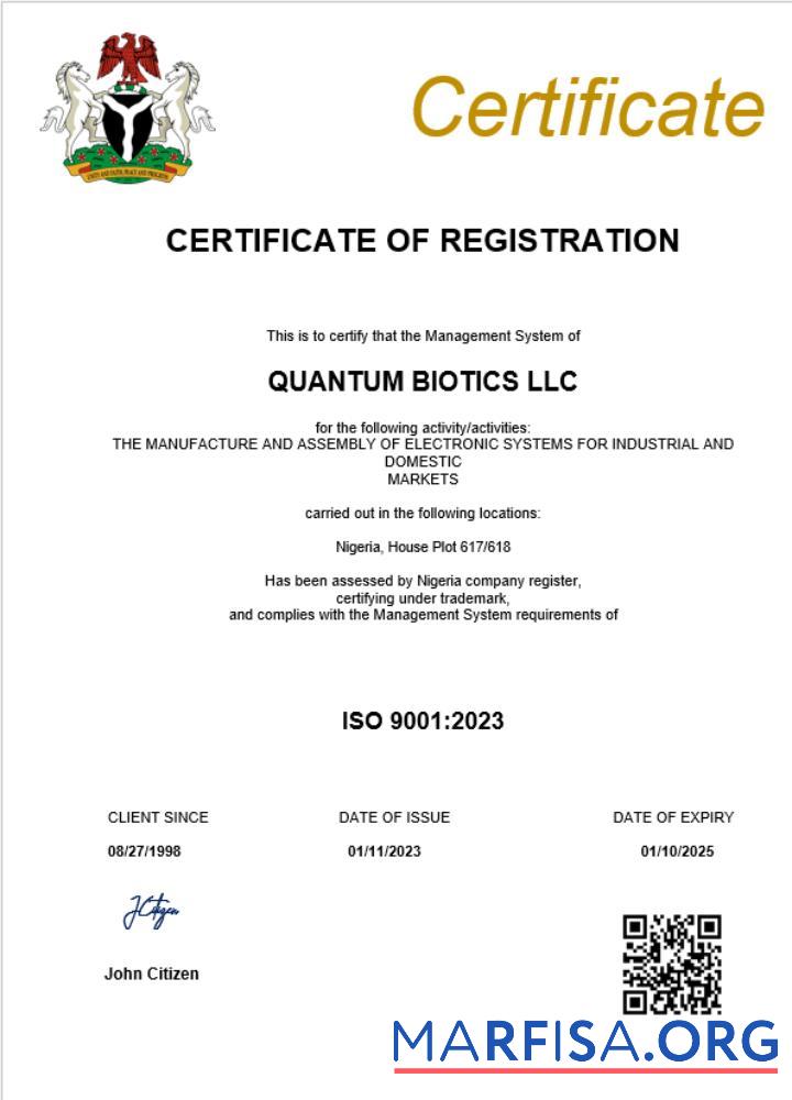 Blank Nigeria business registration certificate Word and PDF template